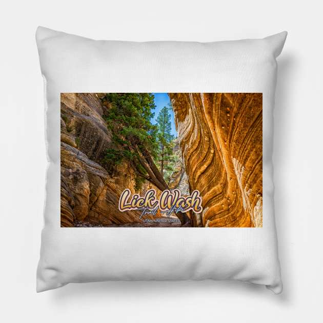 Lick Wash Trail Hike Pillow by Gestalt Imagery