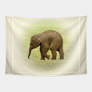 Elephant baby Tapestry