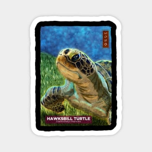 Hawksbill turtle - Black Magnet