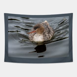 Merganser Gliding Across the Water Tapestry