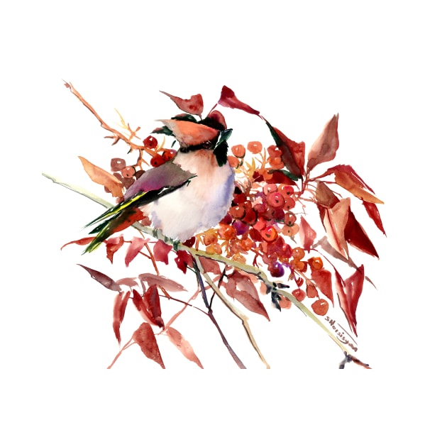 Waxwing Bird and Berries by surenart