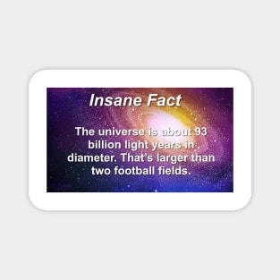 Insane Fact The Universe Is Larger Than Two Football Fields Sarcastic Dank Meme Quote Funny Meme T-Shirt Magnet