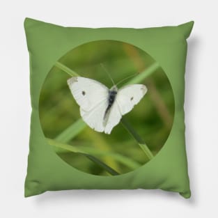 Cabbage White Butterfly-1 Rd Pillow