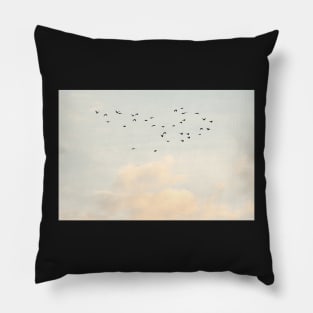 Flock of Birds Pillow