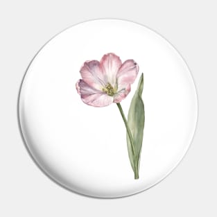 Pink Watercolor Tulip Pin