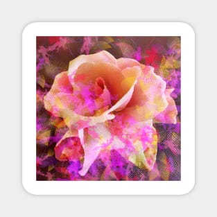 Rose Abstract Magnet