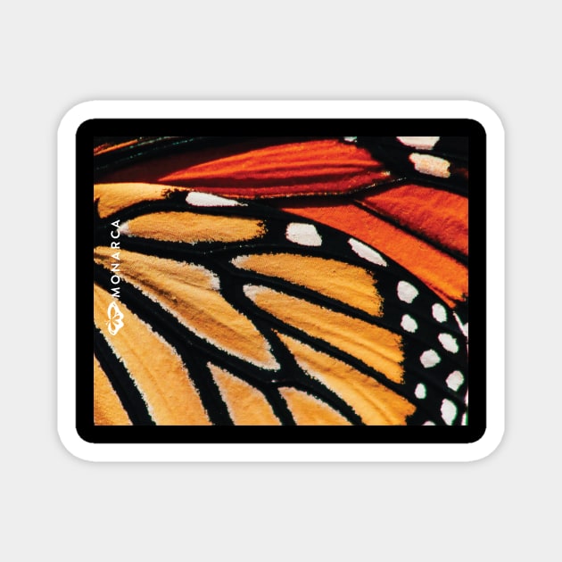 Save the Monarch Butterfly Magnet by La Monarca Bakery