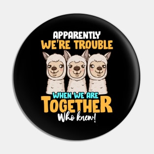 Apparently We're Trouble When We Are Together! Pin