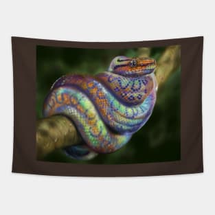 Rainbow Boa Rainboa Epicrates Cenchria Tapestry