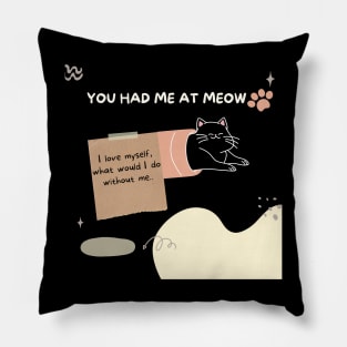 Fun Fact T-Shirt, Cat Mom Shirt Sticker Pillow