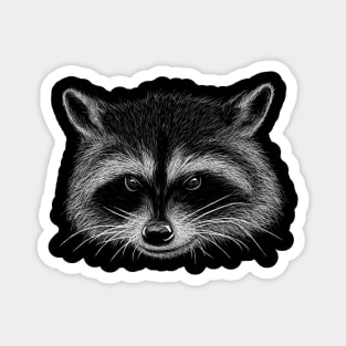 Trash Panda Illustration Masked Bandit Raccoon Drawing Magnet