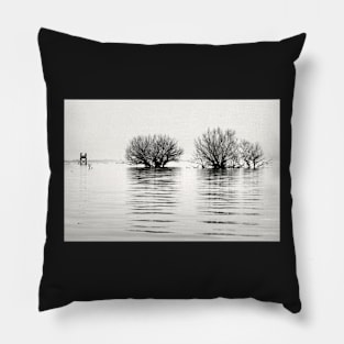 The Weeping Meadow Pillow