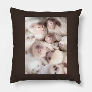 Sloth Pillow