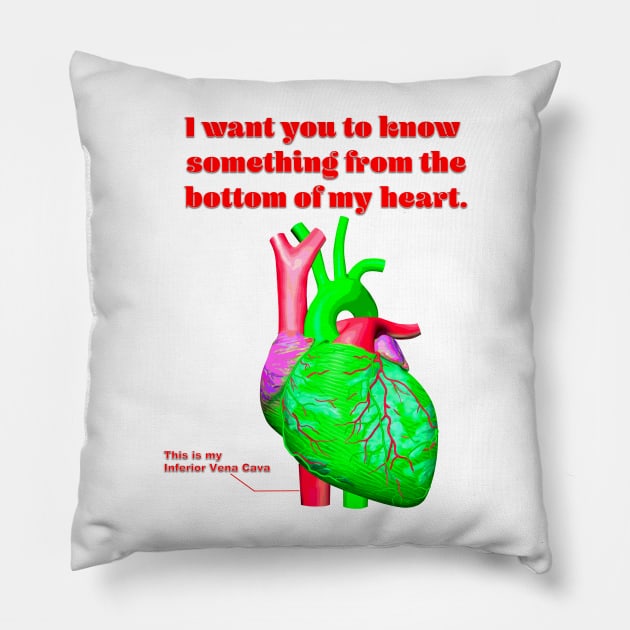 Heart Felt Pillow by Bashiri74