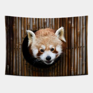 Little Panda / Swiss Artwork Photography Tapestry