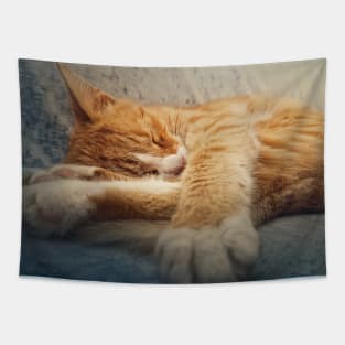 Orange kitten sleeping sweet Tapestry