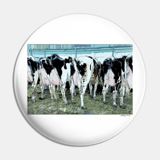 Cows Pin