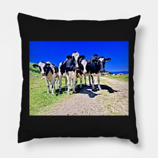 Cows on the Alm Pillow