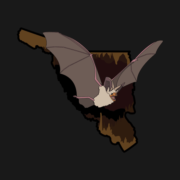 Pallid Bat by ProcyonidaeCreative