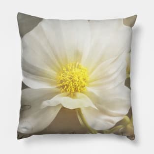 Floral charm Pillow