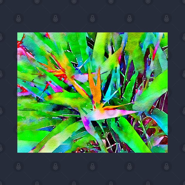 Bird of Paradise by JillyBeanDesign