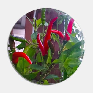 Cayenne Peppers Pin