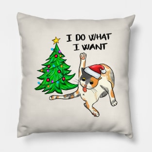 I Do What I Want Pillow