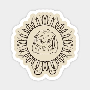 Maltipoo Sunflower Magnet