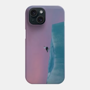 SEAGULL AT SUNSET Phone Case
