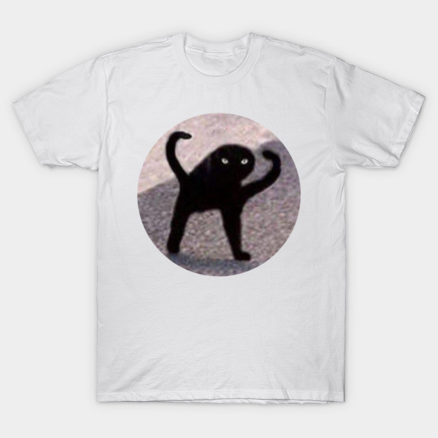 Cursed Black Cat Cursed Cat T Shirt Teepublic