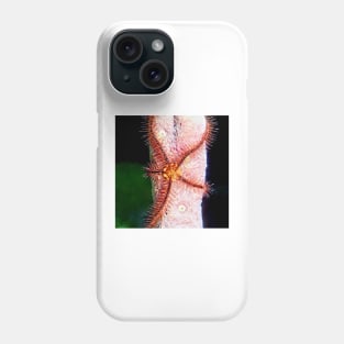 Brittle Sea Star Fish Phone Case