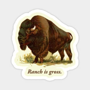 Funny Buffalo NY Gift Chicken Wings Ranch is Gross Blue Cheese Lover Magnet