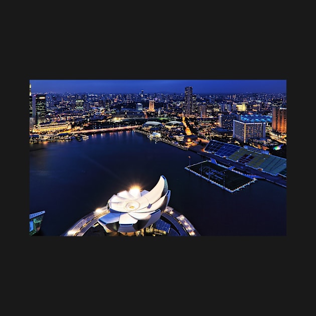 Singapore Skyline & ArtScience Museum from SkyPark at Night by holgermader