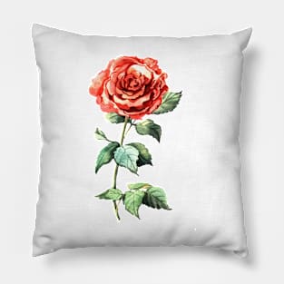 Watercolor rose Pillow