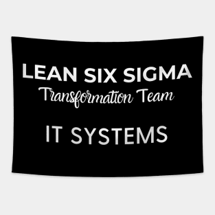 Lean Transformation Team IT SYSTEMS Tapestry