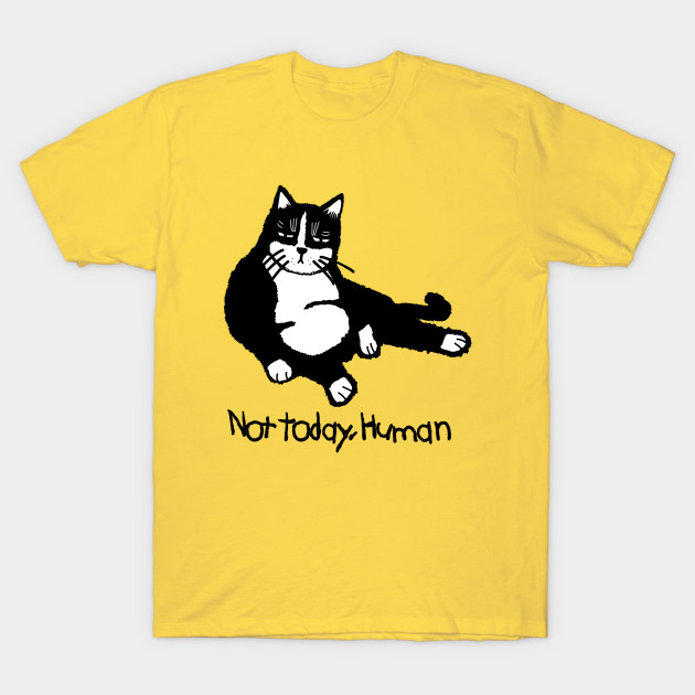 Not Today Human Cat Tshirt Not Today Cat T Shirt Teepublic