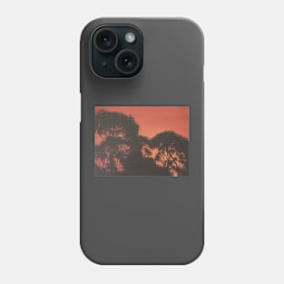 African Gum Trees Phone Case