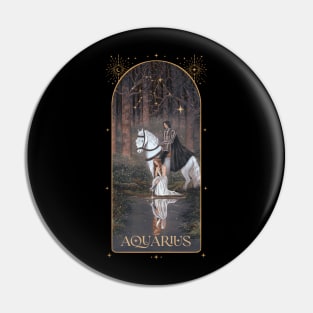 Aquarius Pin