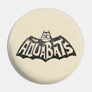 the aquabats vintage Pin