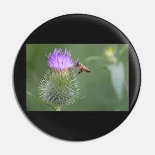 Thistle-Bee Pin