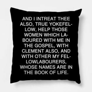 Philippians 4:3 Bible Verse KJV Text Pillow