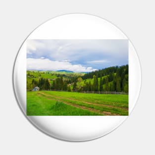 countryside Pin