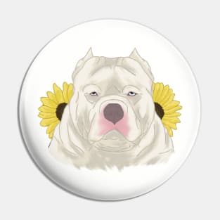 White Blue Eyed American Bully with Sunflowers Pin