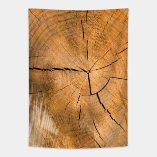 Wooden Tree Circle Texture - Alternative Tapestry