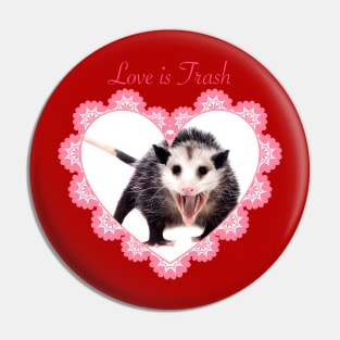 Live Is Trash (opossum) Pin