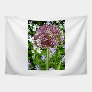 Ornamental Allium Tapestry