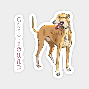 Dog breed Greyhound Magnet