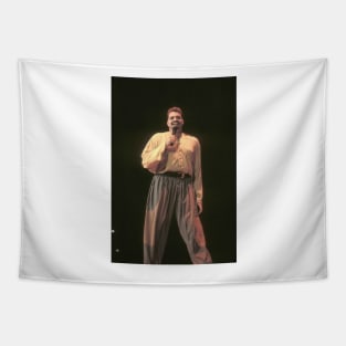 Sinbad Photograph Tapestry