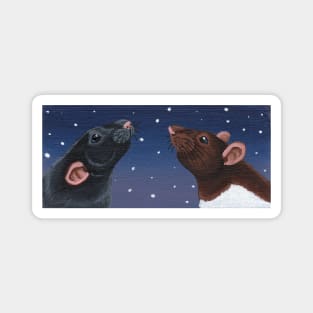 Black and Agouti Hooded Rat Stargazing Magnet