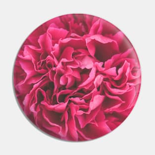 Pink roses Pin